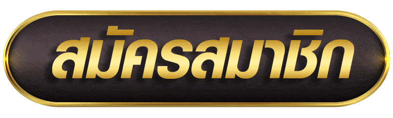 PAYMAXPLUS24 สมัครสมาชิก